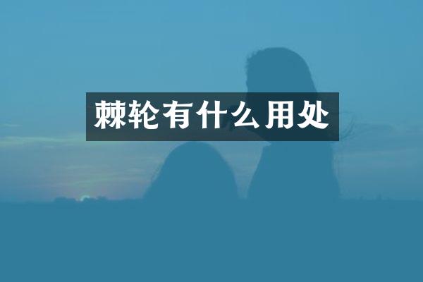 棘轮有什么用处
