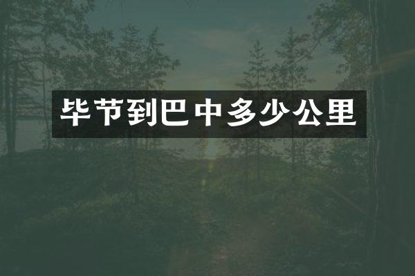 毕节到巴中多少公里