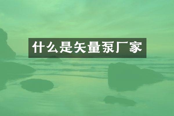 什么是矢量泵厂家