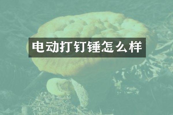 电动打钉锤怎么样