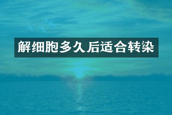 解细胞多久后适合转染