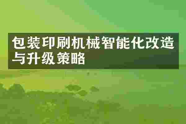 包装印刷机械智能化改造与升级策略