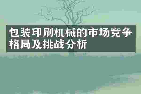 包装印刷机械的市场竞争格局及挑战分析