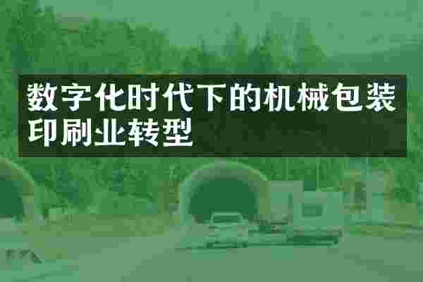 数字化时代下的机械包装印刷业转型