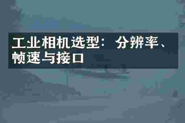 工业相机选型：分辨率、帧速与接口